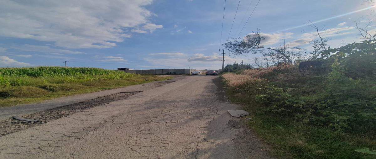Foto de terreno comercial en venta en camino real a atlixco , chipilo de francisco javier mina, san gregorio atzompa, puebla, 30430122 No. 03