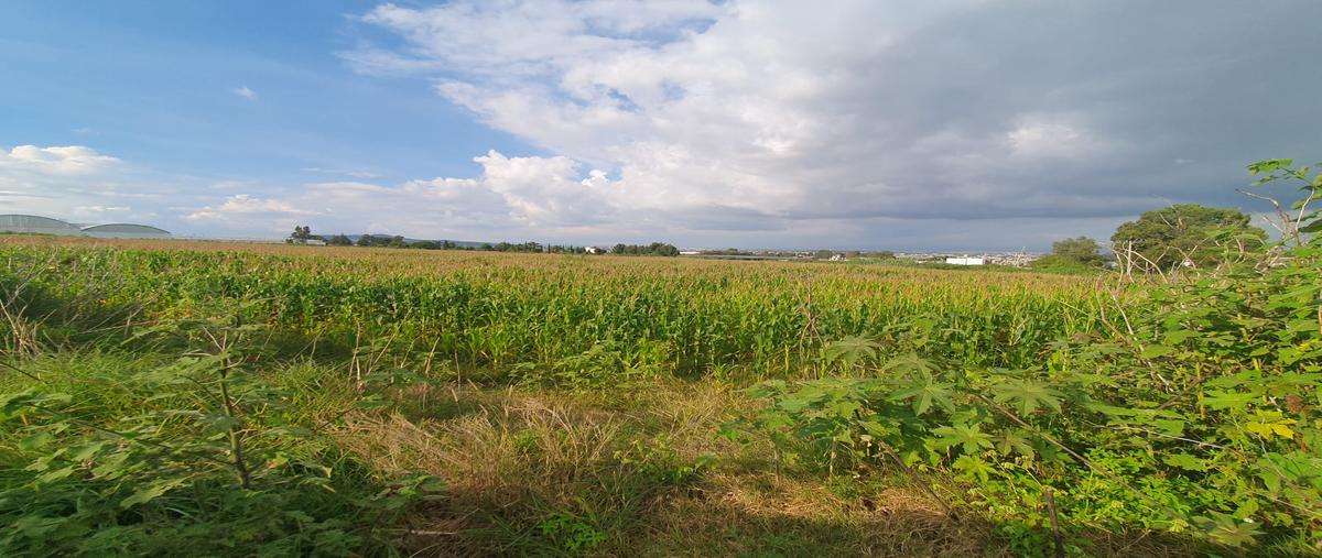 Foto de terreno comercial en venta en camino real a atlixco , chipilo de francisco javier mina, san gregorio atzompa, puebla, 30430122 No. 04