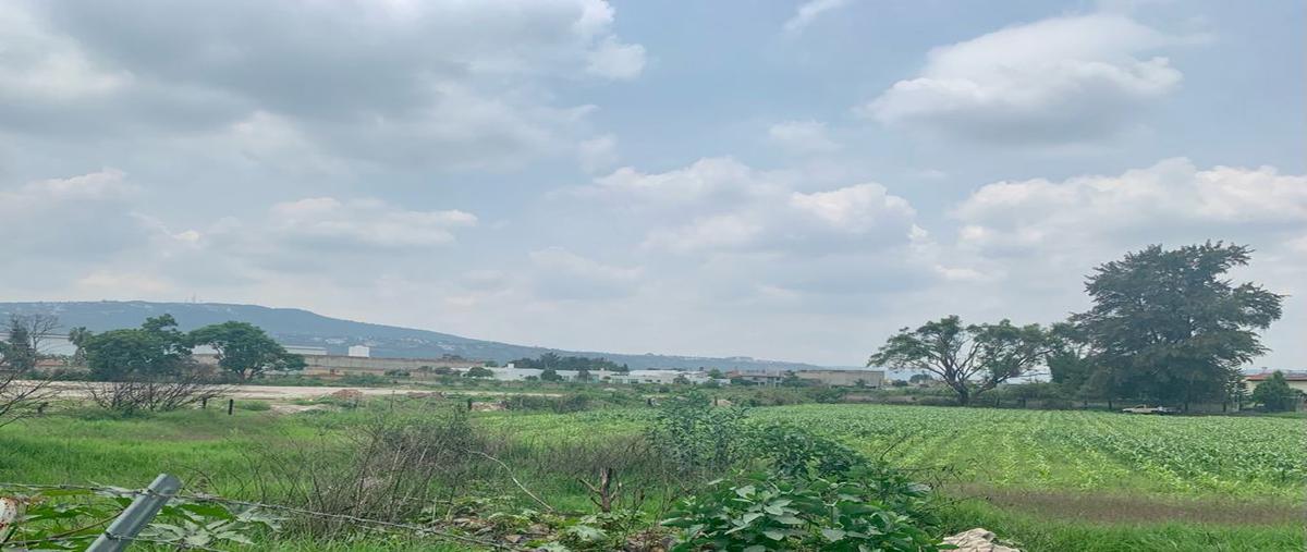 Foto de terreno habitacional en venta en camino real a colima , los cajetes, san pedro tlaquepaque, jalisco, 24873986 No. 03