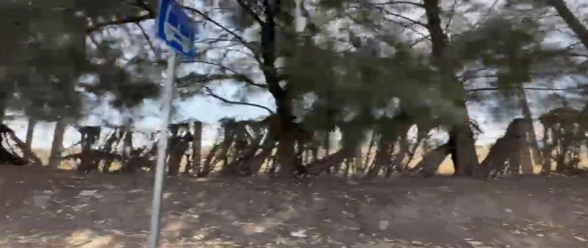 Foto de terreno comercial en renta en camino real a colima , los gavilanes, tlajomulco de zúñiga, jalisco, 27991865 No. 03