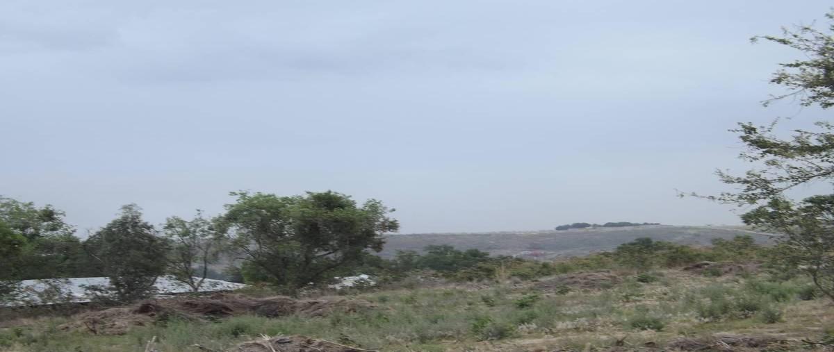 Foto de terreno industrial en venta en camino real a colima , san agustin, tlajomulco de zúñiga, jalisco, 17515560 No. 05