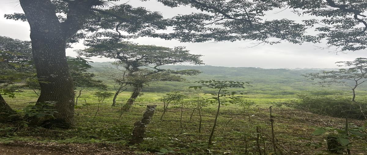 Foto de terreno habitacional en camino real a poma rosa , copalar, san fernando, chiapas, 0 foto 03 Foto de terreno habitacional en venta en camino real a poma rosa , copalar, san fernando, chiapas, 0 No. 03