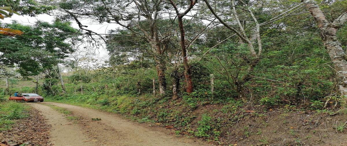 Foto de terreno habitacional en camino real a poma rosa , copalar, san fernando, chiapas, 0 foto 04 Foto de terreno habitacional en venta en camino real a poma rosa , copalar, san fernando, chiapas, 0 No. 04