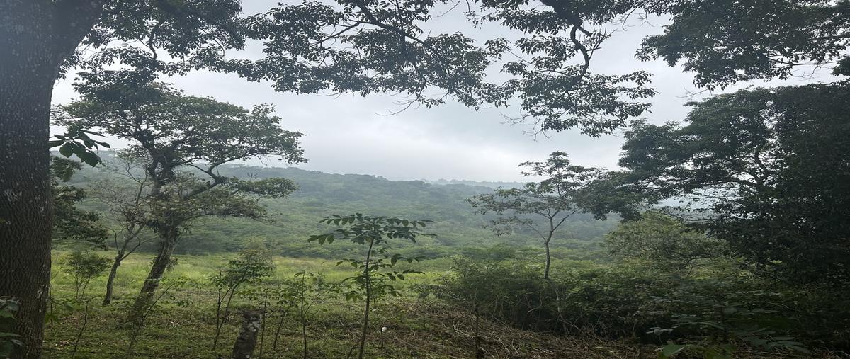 Foto de terreno habitacional en camino real a poma rosa , copalar, san fernando, chiapas, 30433588 foto 05 Foto de terreno habitacional en venta en camino real a poma rosa , copalar, san fernando, chiapas, 30433588 No. 05