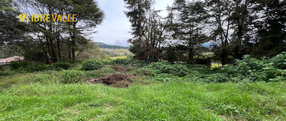 Foto de terreno habitacional en venta en camino real acatitlan , san antonio, valle de bravo, méxico, 27419718 No. 03