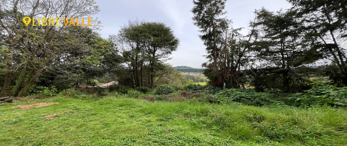 Foto de terreno habitacional en venta en camino real acatitlan , san antonio, valle de bravo, méxico, 27419718 No. 04