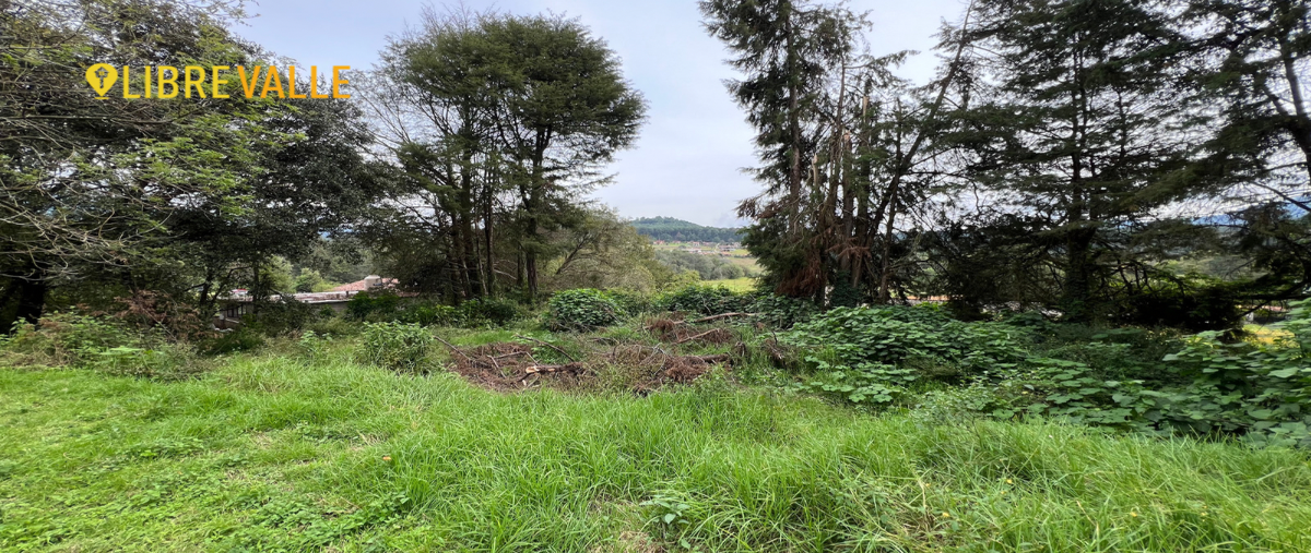 Foto de terreno habitacional en venta en camino real acatitlan , san antonio, valle de bravo, méxico, 27419718 No. 05