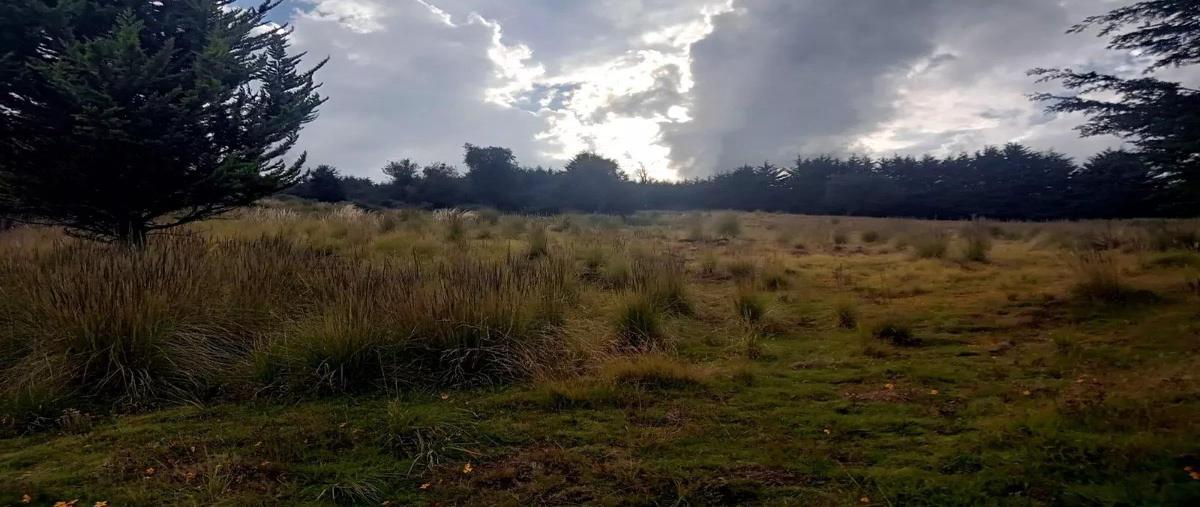 Foto de terreno comercial en venta en camino real al oyameyo x, san miguel topilejo, tlalpan, df / cdmx, 27998135 No. 03