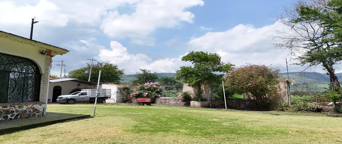 Foto de terreno habitacional en venta en camino real antiguo , san cristóbal zapotitlán, jocotepec, jalisco, 0 No. 04