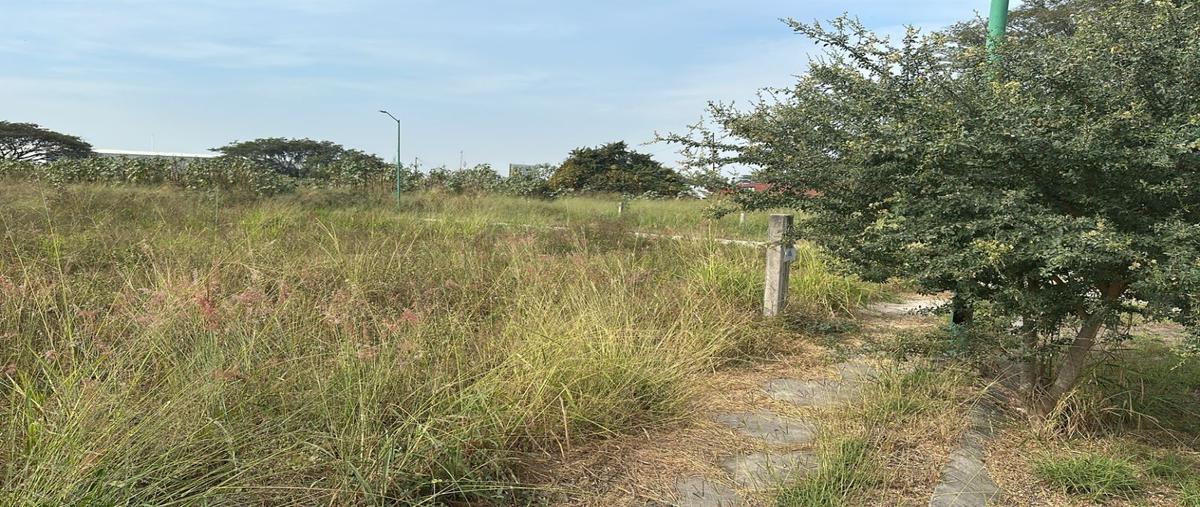 Foto de terreno habitacional en venta en  , camino real, colima, colima, 0 No. 05