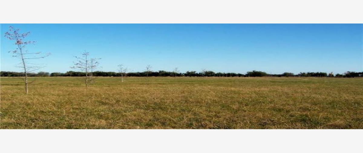 Foto de terreno habitacional en venta en  , camino real, colima, colima, 8557786 No. 01