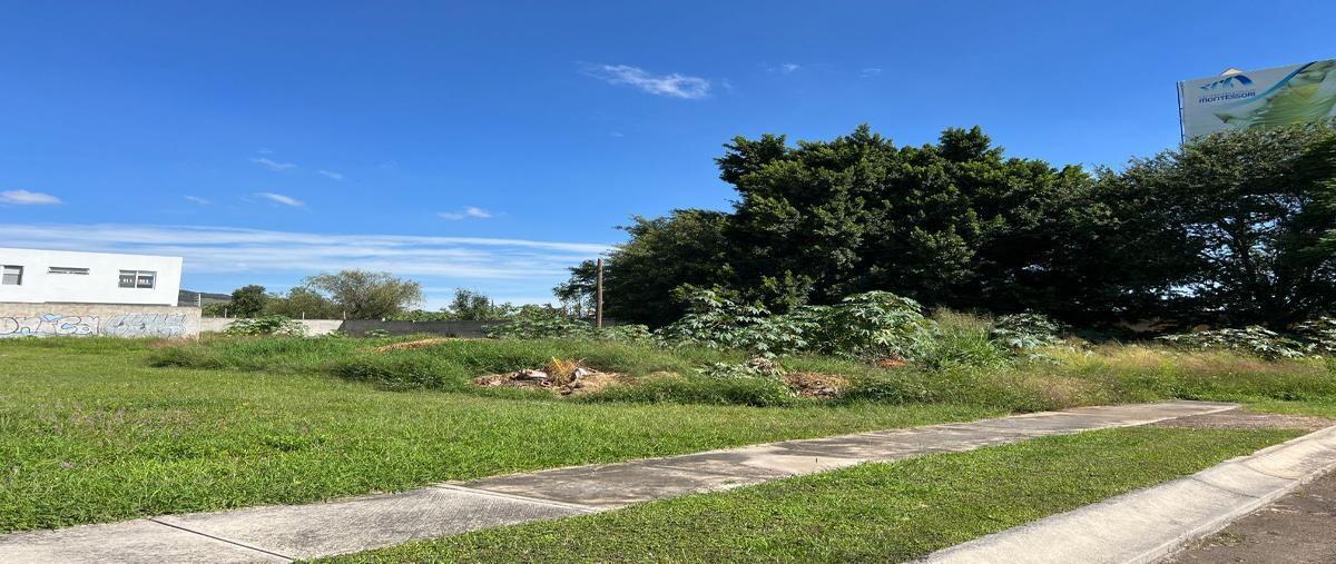 Foto de terreno comercial en renta en camino real de colima , santa anita, tlajomulco de zúñiga, jalisco, 27198001 No. 04