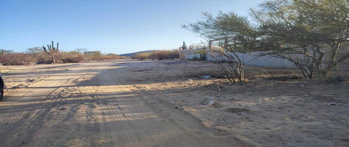 Foto de terreno habitacional en venta en camino real de guanajuato , invi el mezquitito, la paz, baja california sur, 0 No. 01