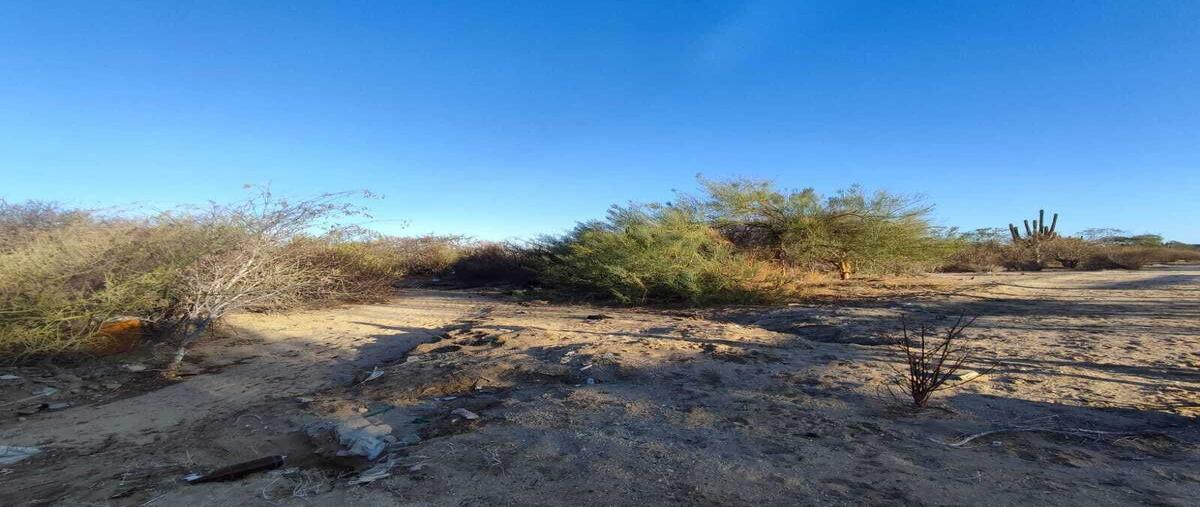 Foto de terreno habitacional en venta en camino real de guanajuato , invi el mezquitito, la paz, baja california sur, 0 No. 02