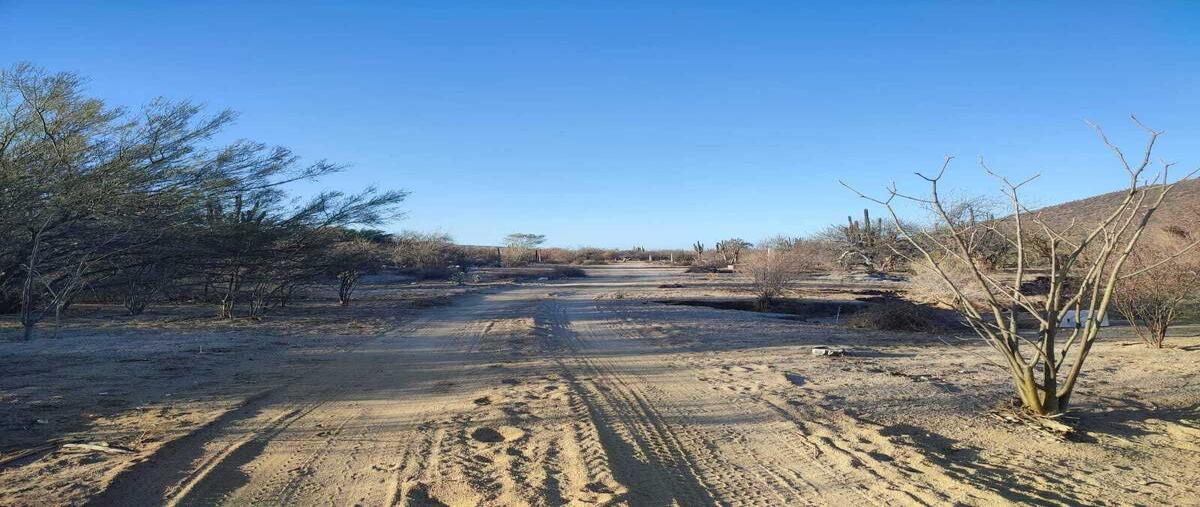 Foto de terreno habitacional en venta en camino real de guanajuato , invi el mezquitito, la paz, baja california sur, 0 No. 03
