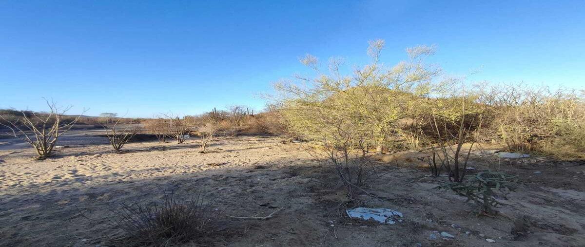 Foto de terreno habitacional en venta en camino real de guanajuato , invi el mezquitito, la paz, baja california sur, 0 No. 04