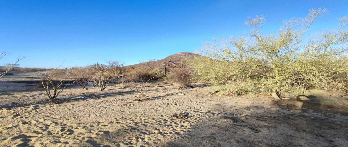 Foto de terreno habitacional en venta en camino real de guanajuato , invi el mezquitito, la paz, baja california sur, 0 No. 05