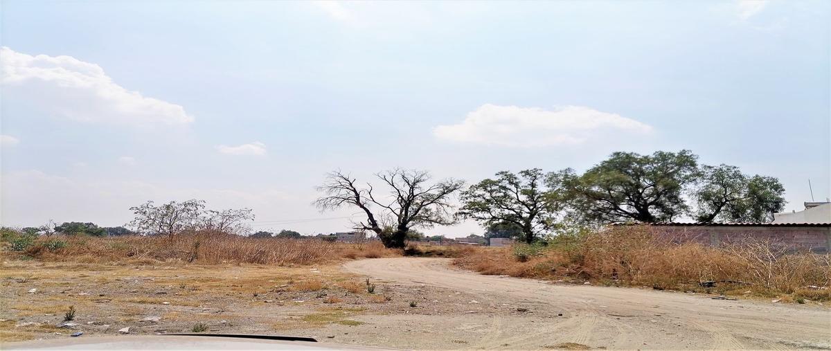 Foto de terreno habitacional en camino real de tizayuca , san lorenzo, zumpango, méxico, 22151819 foto 05 Foto de terreno habitacional en venta en camino real de tizayuca , san lorenzo, zumpango, méxico, 22151819 No. 05