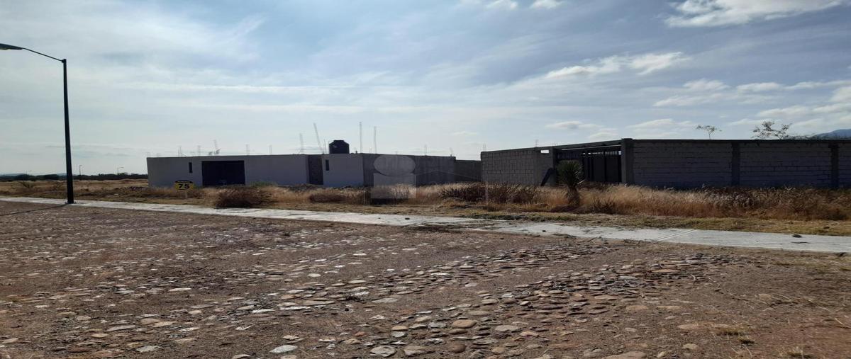 Foto de terreno habitacional en venta en camino real del sur 111, jesús maría, villa de reyes, san luis potosí, 28493501 No. 03