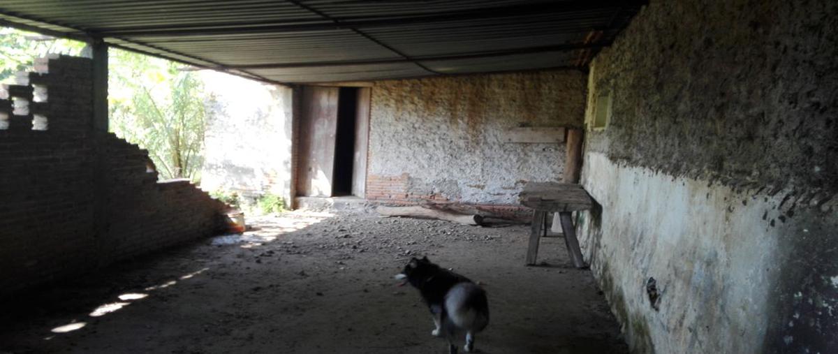 Foto de rancho en venta en camino real , el cobano, cuauhtémoc, colima, 13542301 No. 03