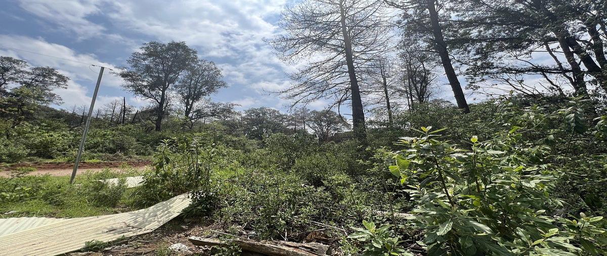 Foto de terreno habitacional en venta en camino real espíritu santo , santa ana jilotzingo, jilotzingo, méxico, 0 No. 05
