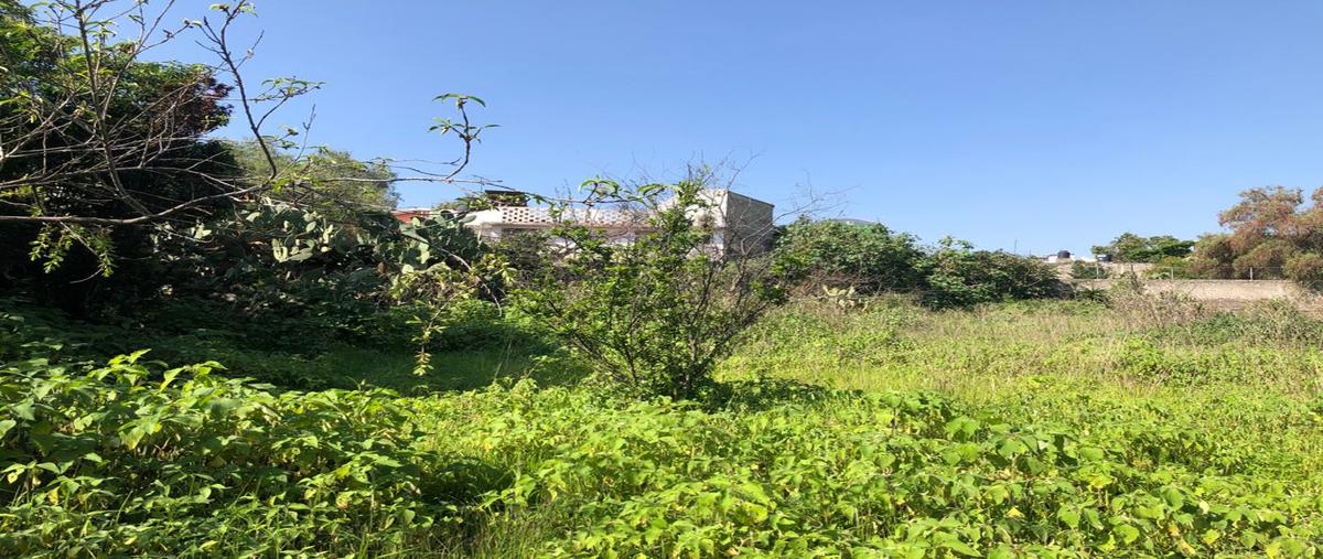 Foto de terreno comercial en renta en camino real , la conchita zapotitlán, tláhuac, df / cdmx, 21637932 No. 02