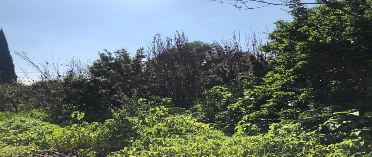 Foto de terreno comercial en renta en camino real , la conchita zapotitlán, tláhuac, df / cdmx, 21637932 No. 05