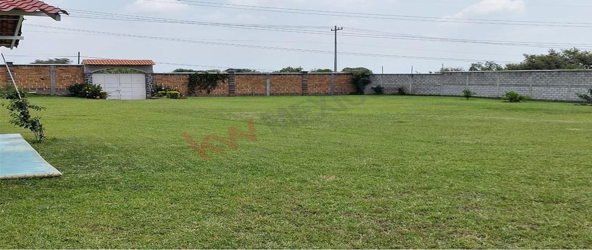 Foto de terreno habitacional en venta en  , camino real los reyes, tlayacapan, morelos, 0 No. 05