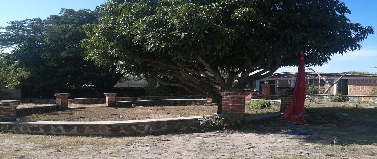 Foto de terreno habitacional en venta en  , camino real los reyes, tlayacapan, morelos, 30536578 No. 03