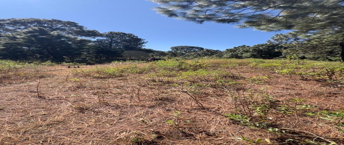 Foto de terreno habitacional en venta en camino real , mazamitla, mazamitla, jalisco, 29510463 No. 03