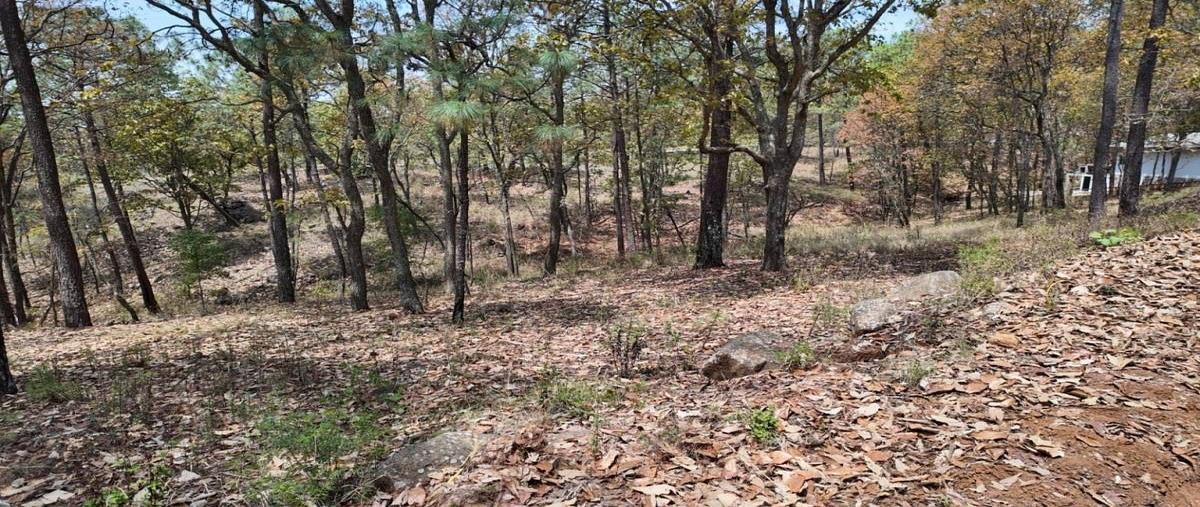 Foto de terreno habitacional en venta en camino real , mazamitla, mazamitla, jalisco, 0 No. 04