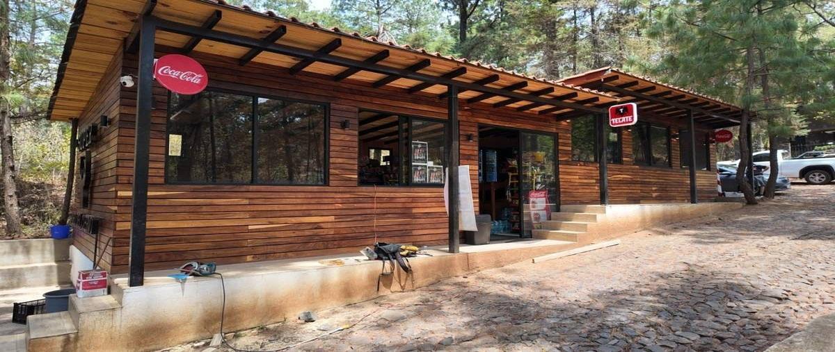 Foto de terreno habitacional en venta en camino real , mazamitla, mazamitla, jalisco, 0 No. 05