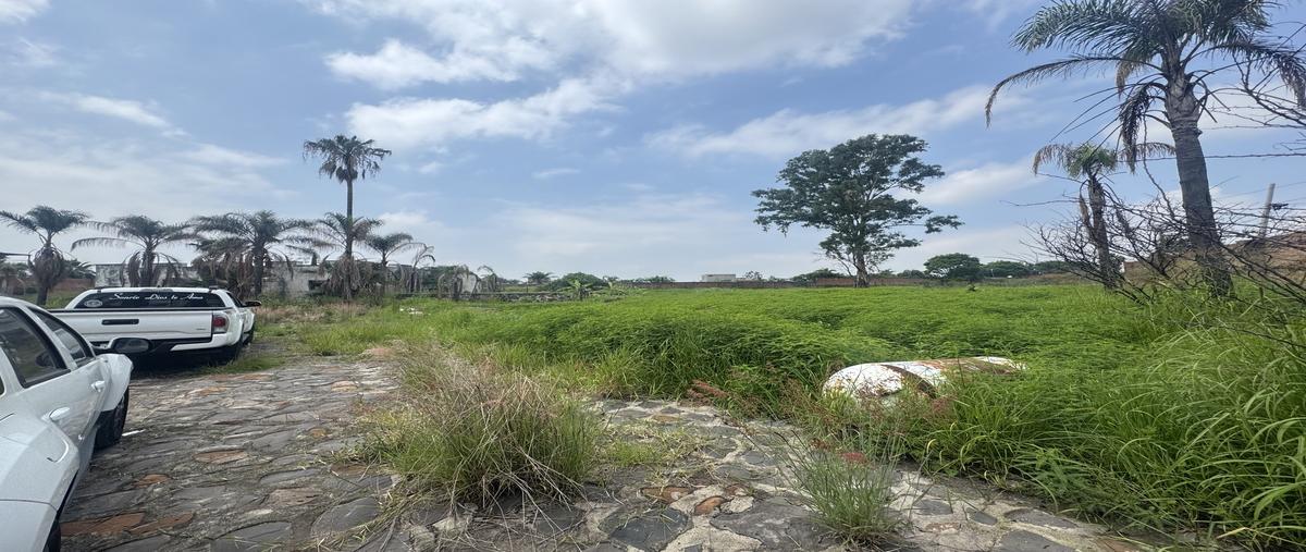 Foto de terreno habitacional en venta en camino real , puente viejo, tonalá, jalisco, 0 No. 03