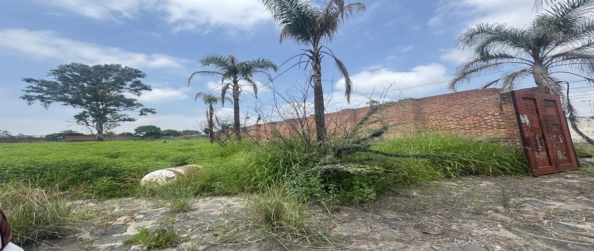 Foto de terreno habitacional en venta en camino real , puente viejo, tonalá, jalisco, 0 No. 04