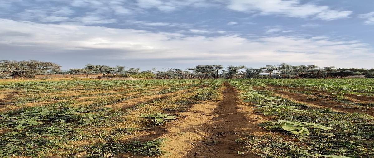 Foto de terreno habitacional en venta en camino real , san bartolo, amanalco, méxico, 28152859 No. 05