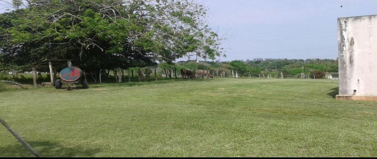 Foto de terreno comercial en camino real tampico , el jobo (escribano), tampico alto, veracruz de ignacio de la llave, 28174046 foto 01 Foto de terreno comercial en venta en camino real tampico , el jobo (escribano), tampico alto, veracruz de ignacio de la llave, 28174046 No. 01