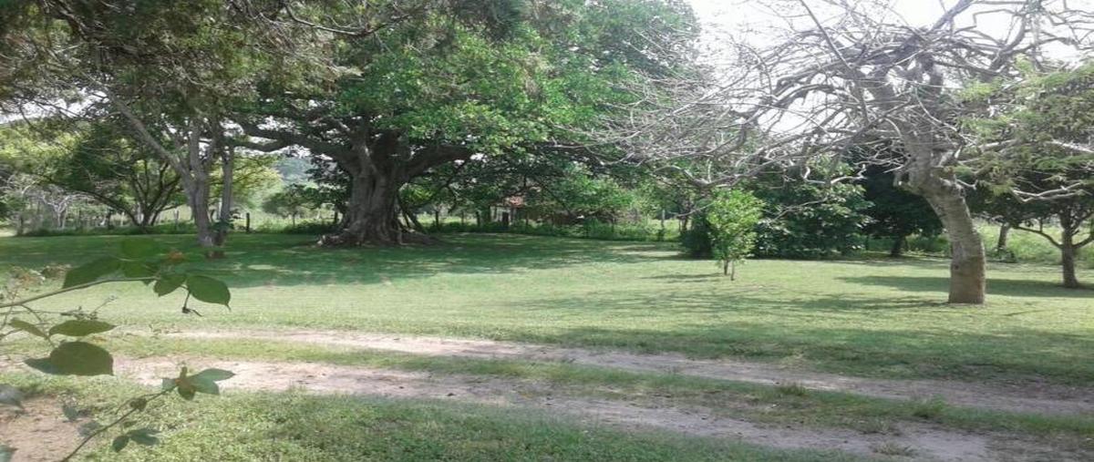 Foto de terreno comercial en camino real tampico , el jobo (escribano), tampico alto, veracruz de ignacio de la llave, 28174046 foto 02 Foto de terreno comercial en venta en camino real tampico , el jobo (escribano), tampico alto, veracruz de ignacio de la llave, 28174046 No. 02