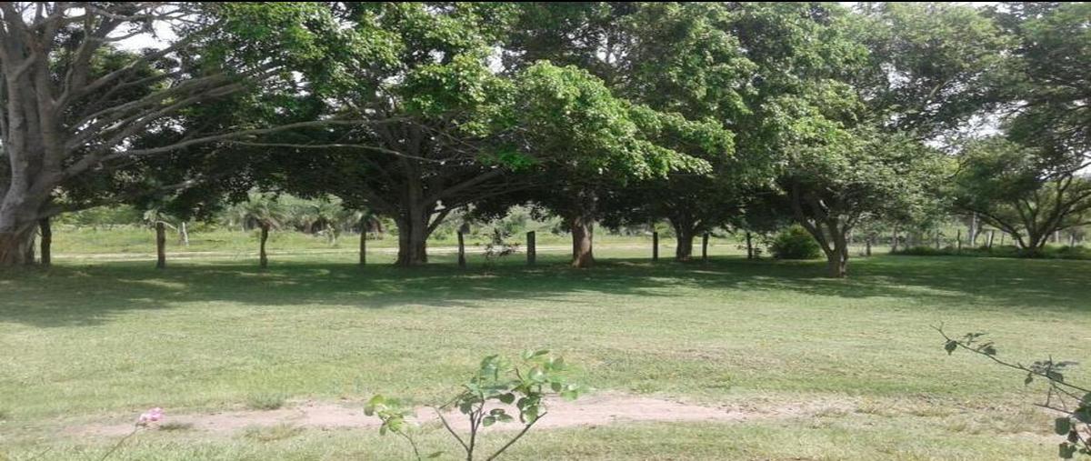 Foto de terreno comercial en camino real tampico , el jobo (escribano), tampico alto, veracruz de ignacio de la llave, 28174046 foto 03 Foto de terreno comercial en venta en camino real tampico , el jobo (escribano), tampico alto, veracruz de ignacio de la llave, 28174046 No. 03