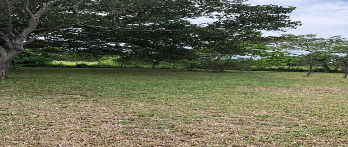 Foto de terreno comercial en camino real tampico , el jobo (escribano), tampico alto, veracruz de ignacio de la llave, 28174046 foto 04 Foto de terreno comercial en venta en camino real tampico , el jobo (escribano), tampico alto, veracruz de ignacio de la llave, 28174046 No. 04