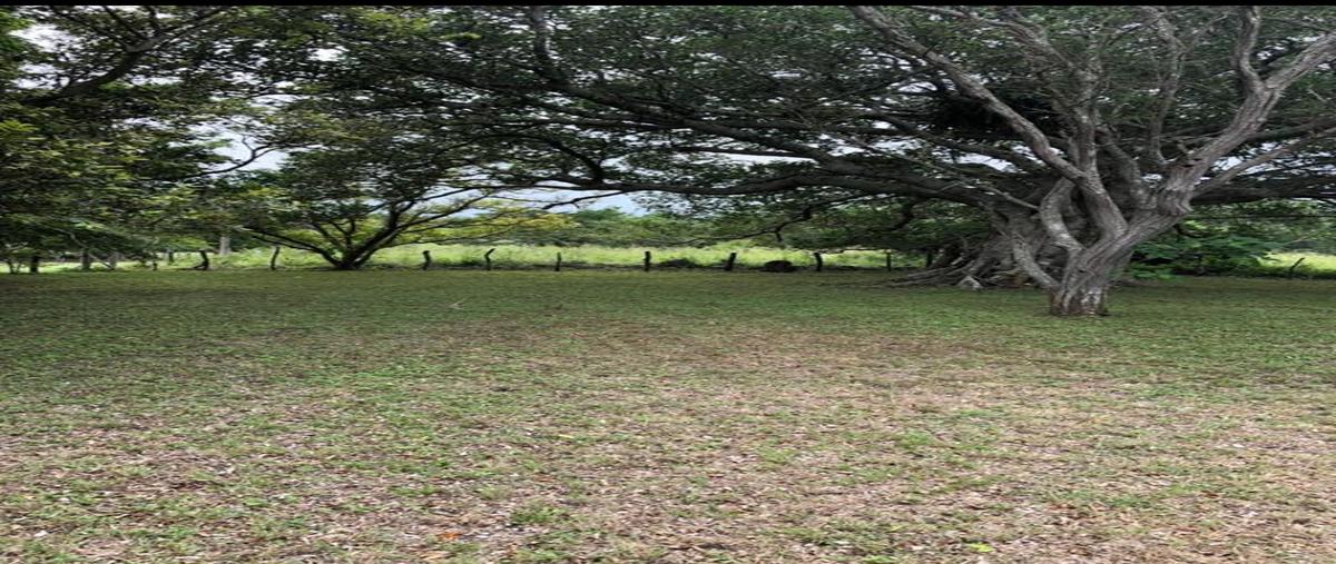 Foto de terreno comercial en camino real tampico , el jobo (escribano), tampico alto, veracruz de ignacio de la llave, 28174046 foto 05 Foto de terreno comercial en venta en camino real tampico , el jobo (escribano), tampico alto, veracruz de ignacio de la llave, 28174046 No. 05