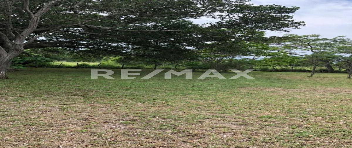 Foto de terreno habitacional en venta en camino real tampico , el jobo (escribano), tampico alto, veracruz de ignacio de la llave, 0 No. 03