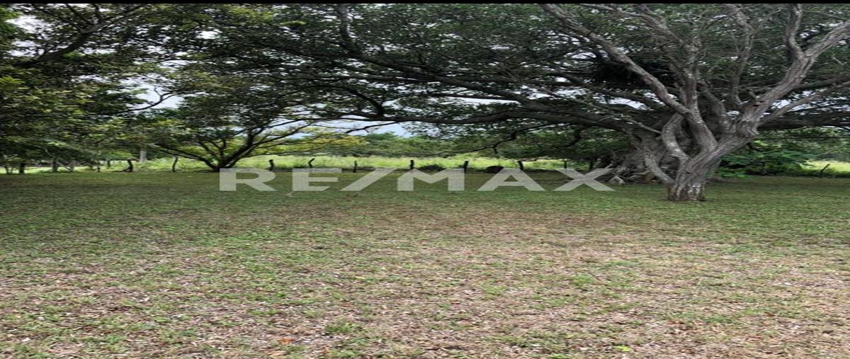 Foto de terreno habitacional en venta en camino real tampico , el jobo (escribano), tampico alto, veracruz de ignacio de la llave, 0 No. 04