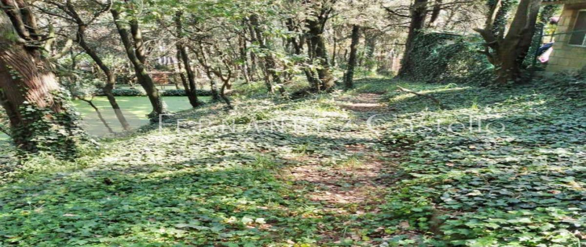 Foto de casa en venta en camino real , tlalpuente, tlalpan, df / cdmx, 28273740 No. 06