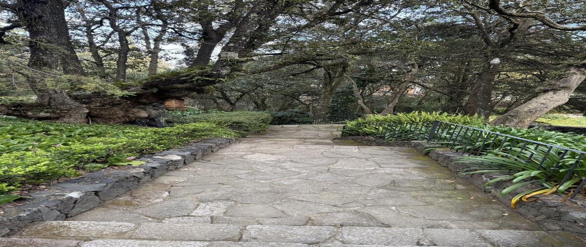 Foto de terreno habitacional en camino real , tlalpuente, tlalpan, df / cdmx, 0 foto 02 Foto de terreno habitacional en venta en camino real , tlalpuente, tlalpan, df / cdmx, 0 No. 02