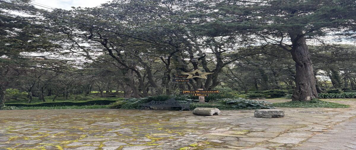 Foto de terreno habitacional en camino real , tlalpuente, tlalpan, df / cdmx, 0 foto 03 Foto de terreno habitacional en venta en camino real , tlalpuente, tlalpan, df / cdmx, 0 No. 03