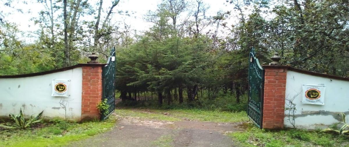 Foto de rancho en venta en camino real , yotatiro, erongarícuaro, michoacán de ocampo, 22137864 No. 03