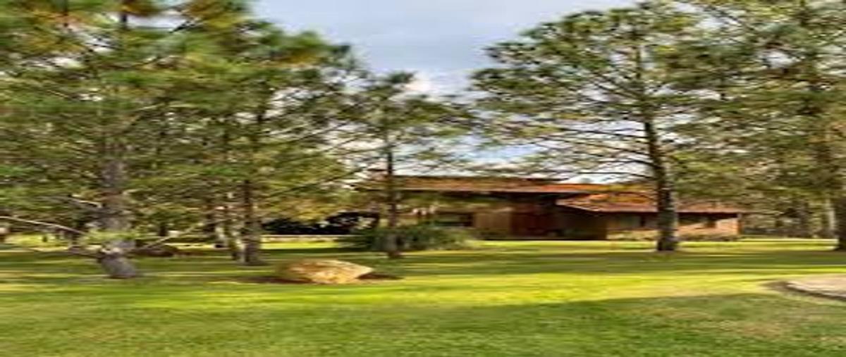 Foto de terreno habitacional en camino rincón de los pastores , punta de agua, tapalpa, jalisco, 0 foto 05 Foto de terreno habitacional en venta en camino rincón de los pastores , punta de agua, tapalpa, jalisco, 0 No. 05