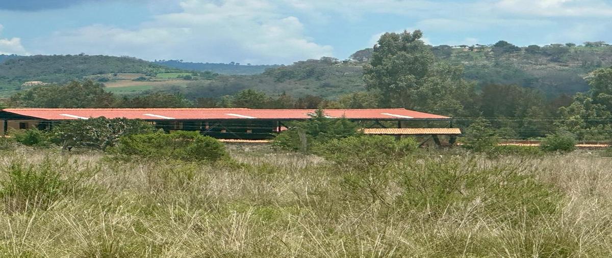 Foto de terreno habitacional en venta en camino rincón de los pastores , tapalpa, tapalpa, jalisco, 0 No. 05