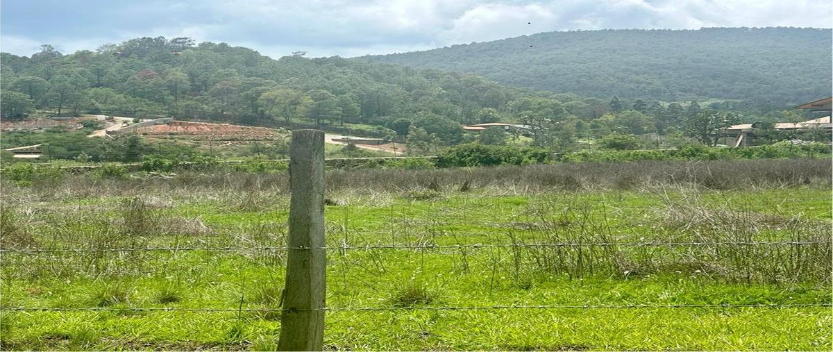 Foto de terreno habitacional en venta en camino rincón de los pastores , tapalpa, tapalpa, jalisco, 0 No. 03
