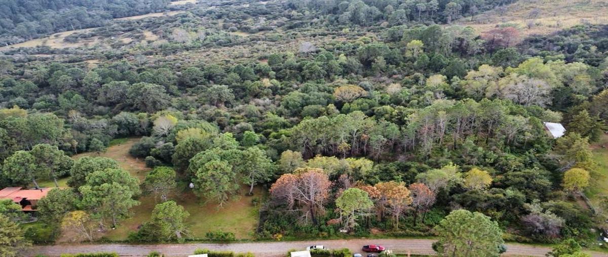Foto de terreno habitacional en camino rincon de los pastores , tapalpa, tapalpa, jalisco, 0 foto 01 Foto de terreno habitacional en venta en camino rincon de los pastores , tapalpa, tapalpa, jalisco, 0 No. 01